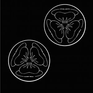 美女爱爱嫩毛视频
