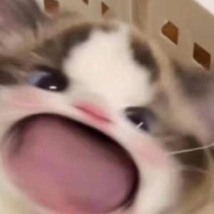 美女爱爱嫩毛视频
