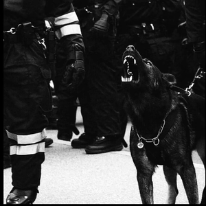 美女爱爱嫩毛视频
