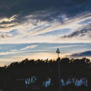 美女爱爱嫩毛视频
